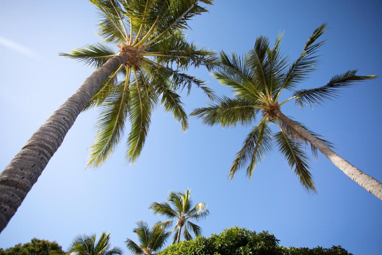Central Ocean View Studio 27A Airlie Beach Exterior photo